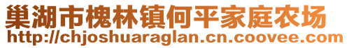 巢湖市槐林鎮(zhèn)何平家庭農(nóng)場