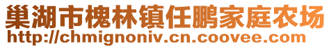 巢湖市槐林鎮(zhèn)任鵬家庭農(nóng)場(chǎng)