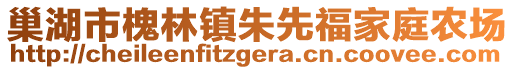 巢湖市槐林鎮(zhèn)朱先福家庭農(nóng)場