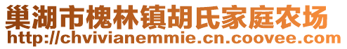 巢湖市槐林鎮胡氏家庭農場