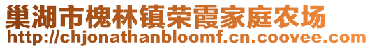 巢湖市槐林鎮榮霞家庭農場