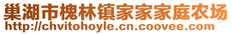 巢湖市槐林鎮(zhèn)家家家庭農(nóng)場(chǎng)