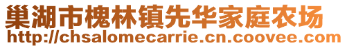 巢湖市槐林鎮(zhèn)先華家庭農(nóng)場