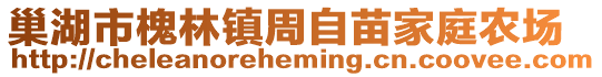 巢湖市槐林鎮(zhèn)周自苗家庭農(nóng)場