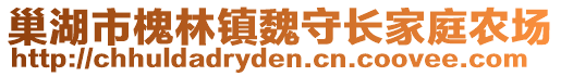 巢湖市槐林鎮(zhèn)魏守長(zhǎng)家庭農(nóng)場(chǎng)