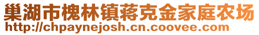 巢湖市槐林鎮(zhèn)蔣克金家庭農(nóng)場