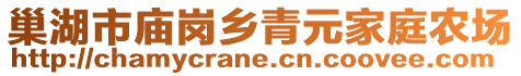 巢湖市廟崗鄉(xiāng)青元家庭農(nóng)場(chǎng)