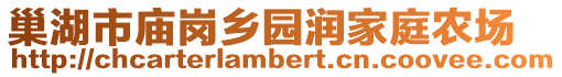 巢湖市廟崗鄉園潤家庭農場