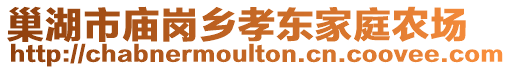 巢湖市廟崗鄉(xiāng)孝東家庭農(nóng)場