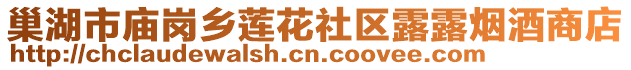 巢湖市廟崗鄉(xiāng)蓮花社區(qū)露露煙酒商店