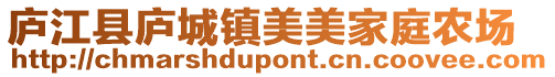 廬江縣廬城鎮美美家庭農場