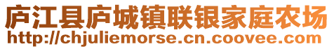 廬江縣廬城鎮聯銀家庭農場