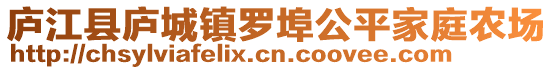 廬江縣廬城鎮(zhèn)羅埠公平家庭農(nóng)場