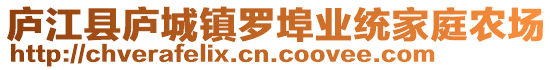 廬江縣廬城鎮(zhèn)羅埠業(yè)統(tǒng)家庭農(nóng)場