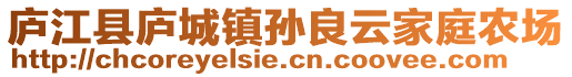 廬江縣廬城鎮(zhèn)孫良云家庭農(nóng)場