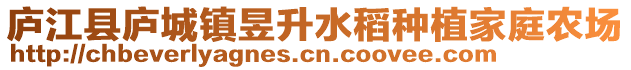 廬江縣廬城鎮(zhèn)昱升水稻種植家庭農(nóng)場(chǎng)