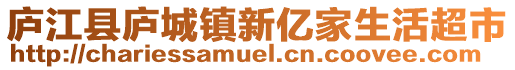 廬江縣廬城鎮(zhèn)新億家生活超市