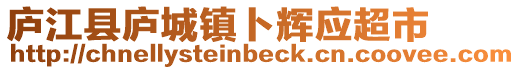 廬江縣廬城鎮(zhèn)卜輝應(yīng)超市