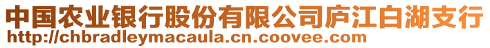 中國(guó)農(nóng)業(yè)銀行股份有限公司廬江白湖支行