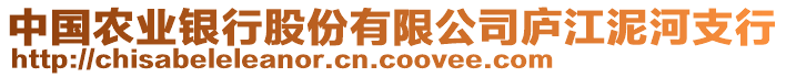 中國(guó)農(nóng)業(yè)銀行股份有限公司廬江泥河支行