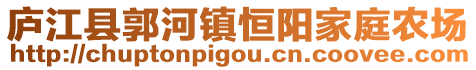 庐江县郭河镇恒阳家庭农场