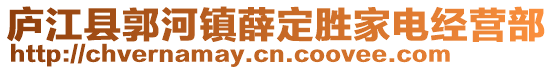 庐江县郭河镇薛定胜家电经营部