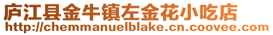 廬江縣金牛鎮左金花小吃店