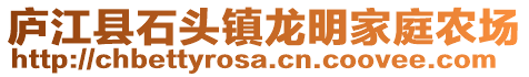 廬江縣石頭鎮龍明家庭農場