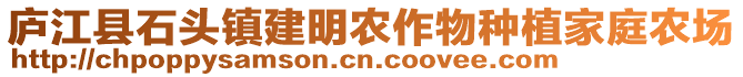 廬江縣石頭鎮(zhèn)建明農(nóng)作物種植家庭農(nóng)場