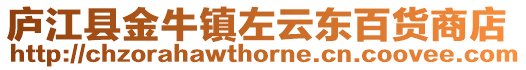 廬江縣金牛鎮(zhèn)左云東百貨商店