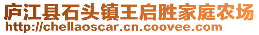 廬江縣石頭鎮(zhèn)王啟勝家庭農(nóng)場(chǎng)