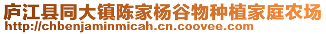 廬江縣同大鎮(zhèn)陳家楊谷物種植家庭農(nóng)場(chǎng)