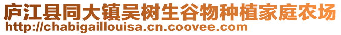 廬江縣同大鎮(zhèn)吳樹生谷物種植家庭農(nóng)場