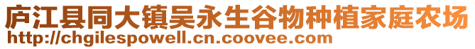 廬江縣同大鎮吳永生谷物種植家庭農場