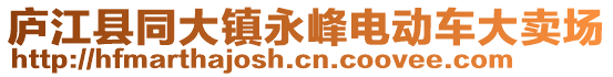 廬江縣同大鎮(zhèn)永峰電動(dòng)車大賣場(chǎng)