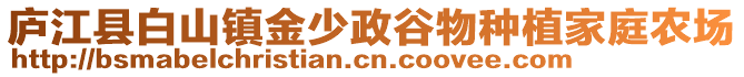 廬江縣白山鎮(zhèn)金少政谷物種植家庭農(nóng)場