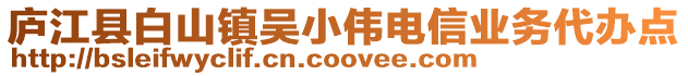 廬江縣白山鎮吳小偉電信業務代辦點