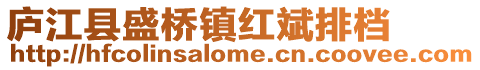 廬江縣盛橋鎮紅斌排檔