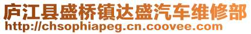 廬江縣盛橋鎮(zhèn)達盛汽車維修部