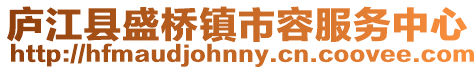 廬江縣盛橋鎮市容服務中心