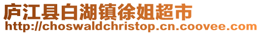 廬江縣白湖鎮徐姐超市