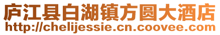 廬江縣白湖鎮方圓大酒店