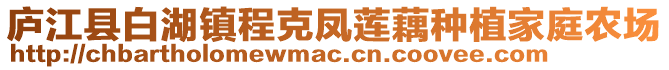 廬江縣白湖鎮(zhèn)程克鳳蓮藕種植家庭農(nóng)場(chǎng)