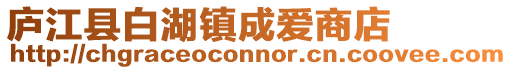 廬江縣白湖鎮(zhèn)成愛商店