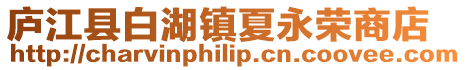廬江縣白湖鎮夏永榮商店
