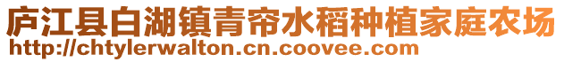 廬江縣白湖鎮(zhèn)青簾水稻種植家庭農(nóng)場