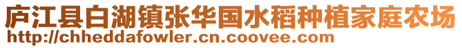 廬江縣白湖鎮張華國水稻種植家庭農場