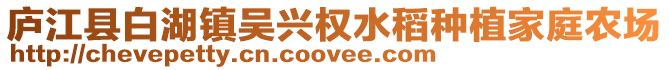 廬江縣白湖鎮(zhèn)吳興權(quán)水稻種植家庭農(nóng)場