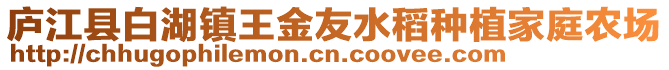 廬江縣白湖鎮(zhèn)王金友水稻種植家庭農場
