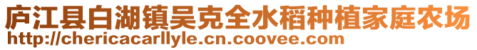 廬江縣白湖鎮(zhèn)吳克全水稻種植家庭農(nóng)場